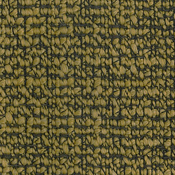 10 SanDiego Fabric Cat