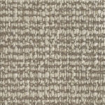 154 SanDiego Fabric Cat