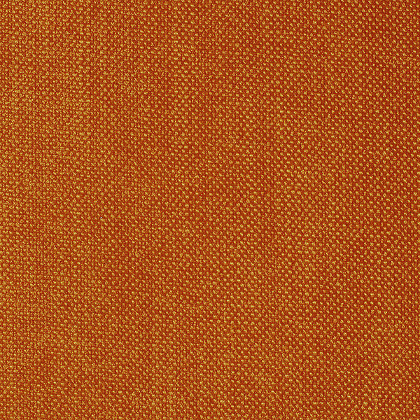 3550 AmbraX Fabric By Delius Cat