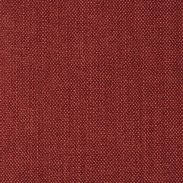 3551 AmbraX Fabric By Delius Cat