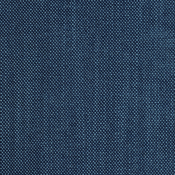 5551 AmbraX Fabric By Delius Cat