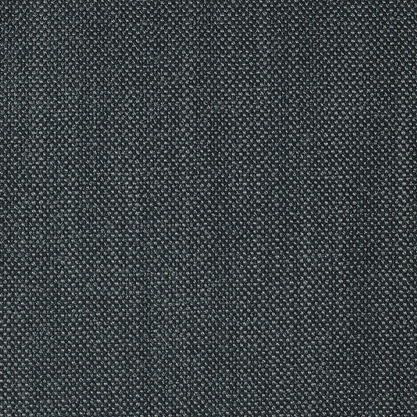 7551 AmbraX Fabric By Delius Cat