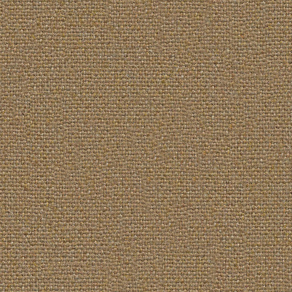 MLF60 Pinner MainLineFlax Fabric By Camira Cat
