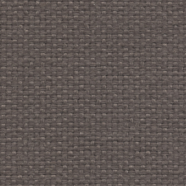 2006 Maya Fabric By Fidivi Cat