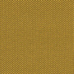 3530 One Fabric By Fidivi Cat