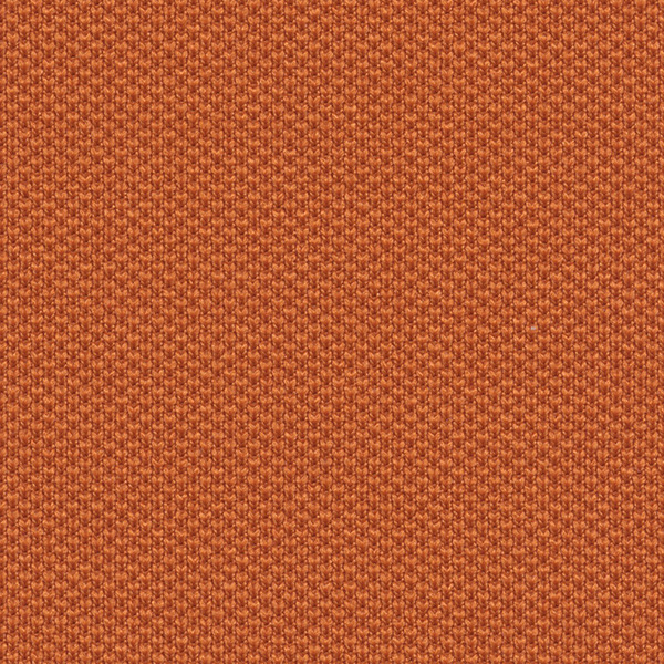 4030 One Fabric By Fidivi Cat