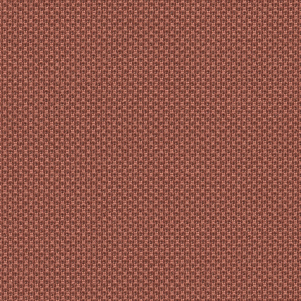 4037 One Fabric By Fidivi Cat