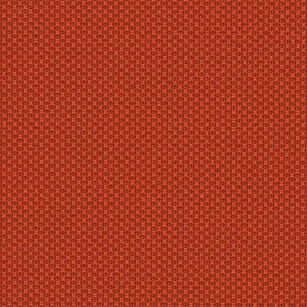 4066 One Fabric By Fidivi Cat