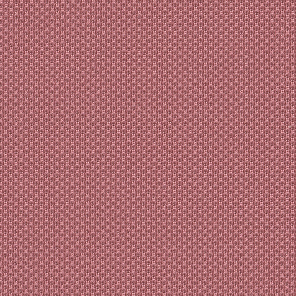 4067 One Fabric By Fidivi Cat