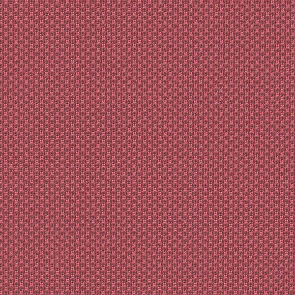 4079 One Fabric By Fidivi Cat