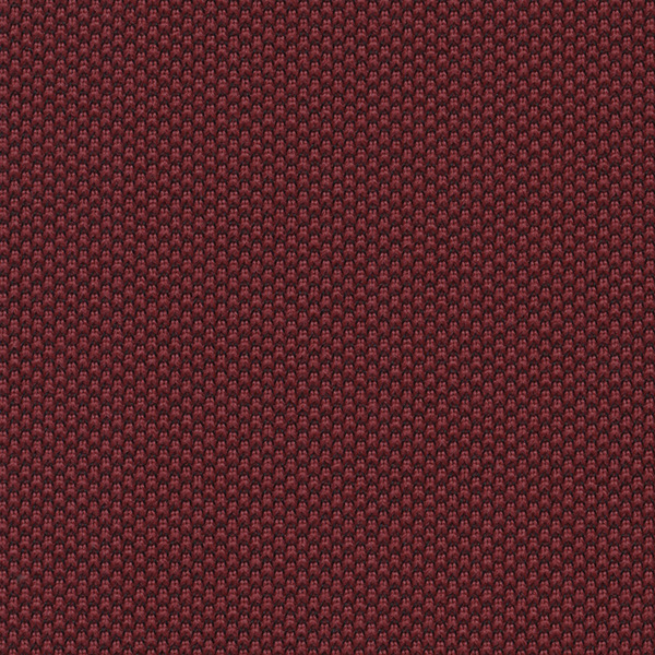 4503 One Fabric By Fidivi Cat