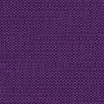 5503 One Fabric By Fidivi Cat