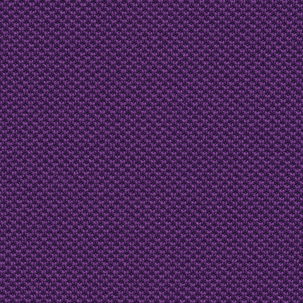5503 One Fabric By Fidivi Cat