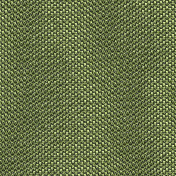 7521 One Fabric By Fidivi Cat