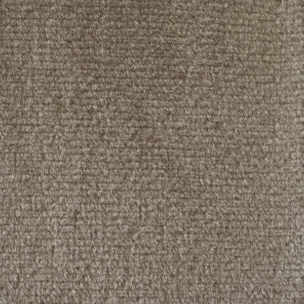 110 Koala Fabric Cat