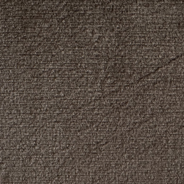 111 Koala Fabric Cat
