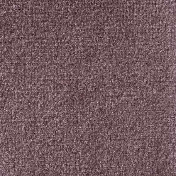 113 Koala Fabric Cat