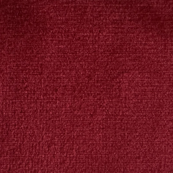 114 Koala Fabric Cat