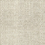 01-33_Hira_Fabric_Cat
