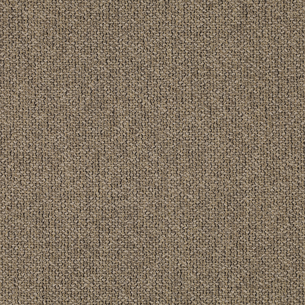 01_Coil_Fabric_Cat