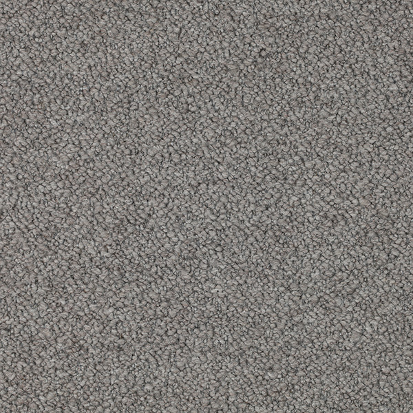 02-22_Orsetto_Fabric_Cat