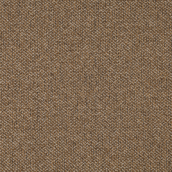 03_Coil_Fabric_Cat
