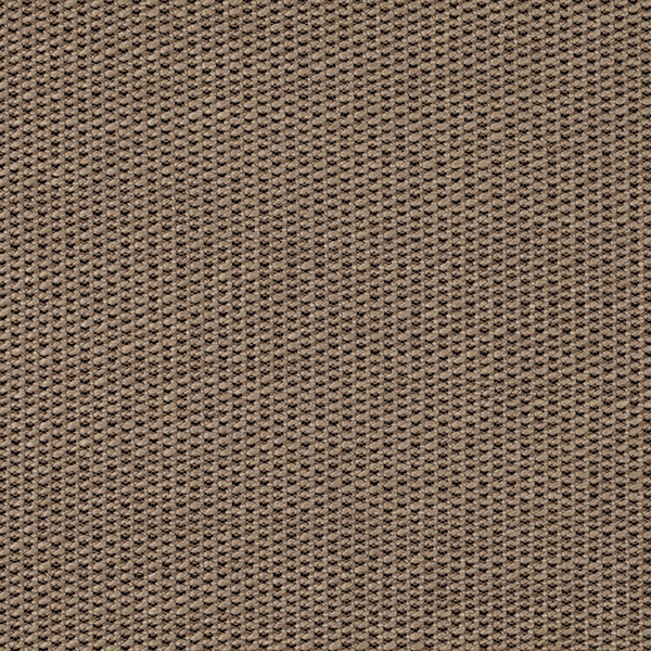 04_Twist_Fabric_Cat