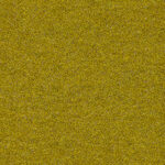 05-9_Orsetto_Fabric_Cat