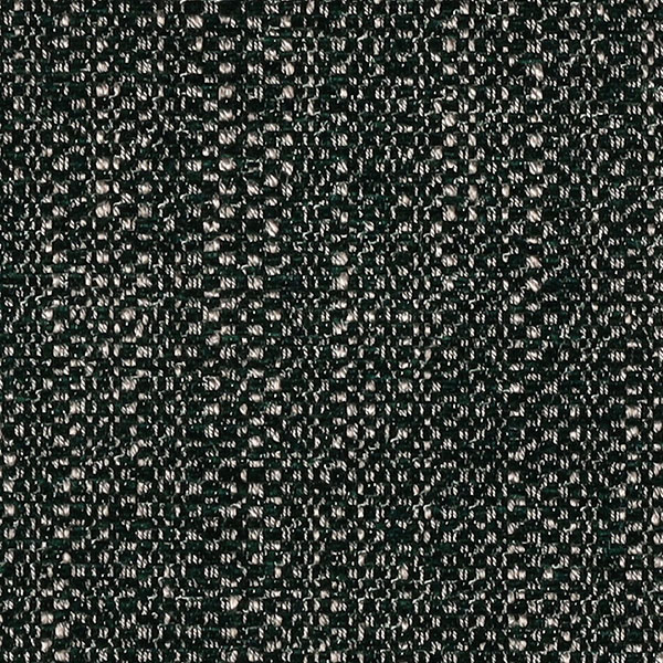 06-10_Hira_Fabric_Cat