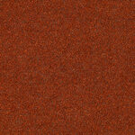 07-24_Orsetto_Fabric_Cat