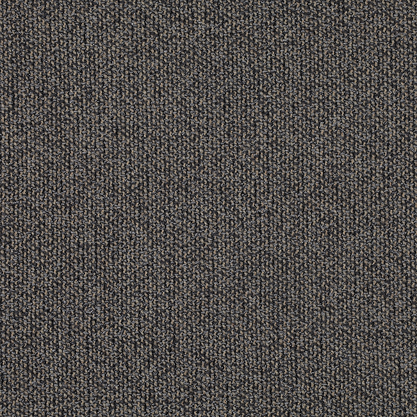 08_Coil_Fabric_Cat