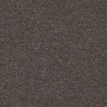 09-12_Orsetto_Fabric_Cat