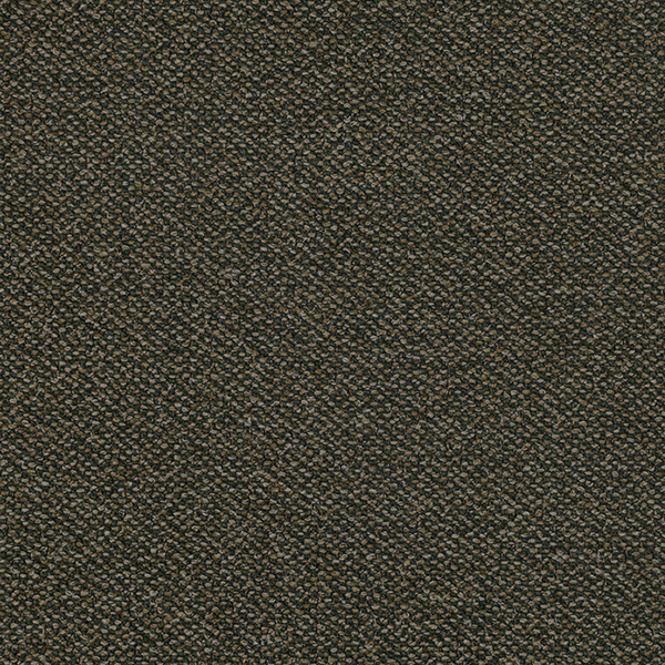 10_Coil_Fabric_Cat