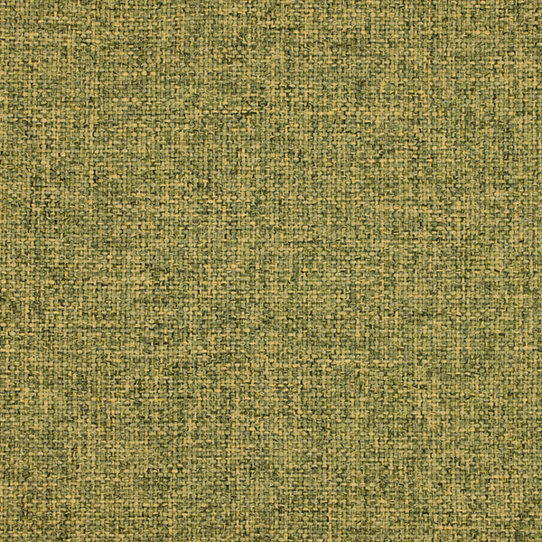 411_SoleCS_Fabric_Cat