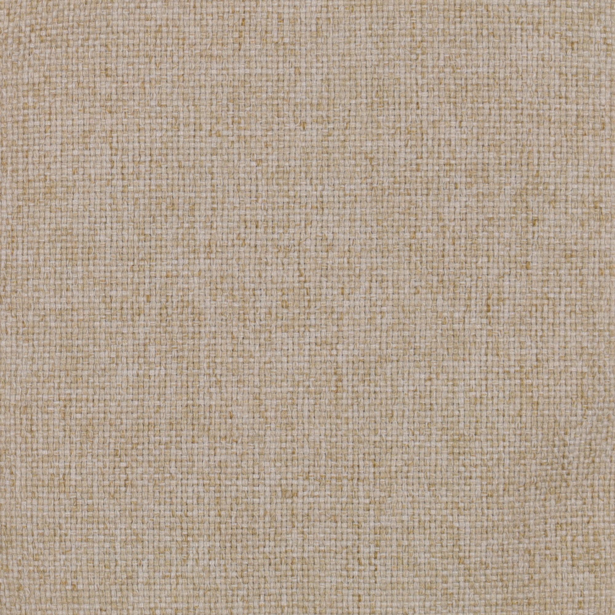 444_SoleCS_Fabric_Cat