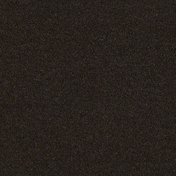 98-16_Orsetto_Fabric_Cat